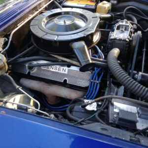 Jensen Interceptor V8 66>  Formula Power 10mm Race Performance Lead Set 